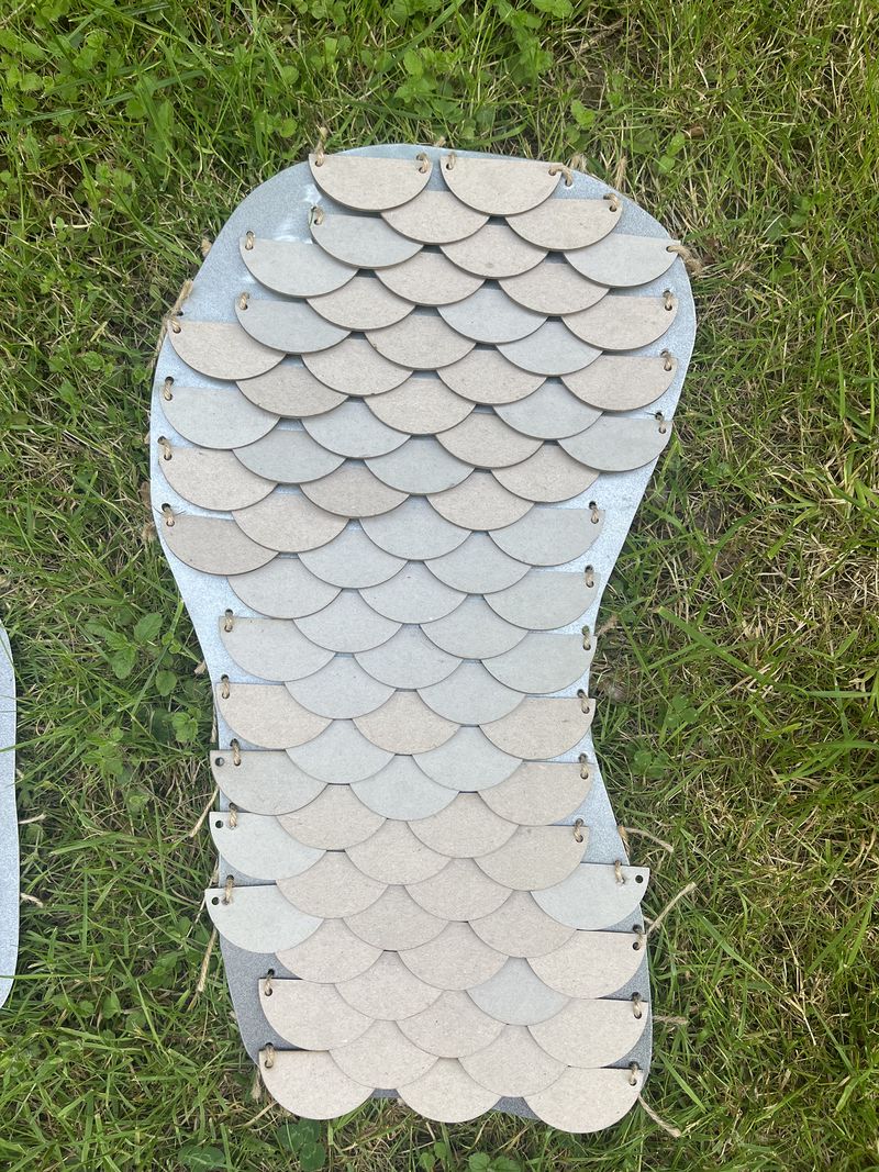 Stim caille IMG 7839.jpeg