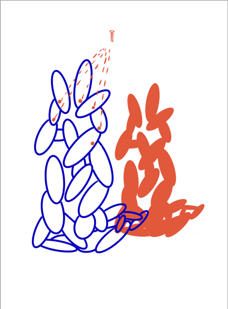 Exploration ph m re Capture d e cran 2025-06-03 a 11.45.23.png