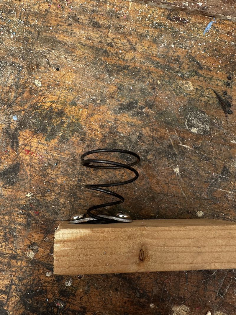 Focalisation IMG 3556.jpeg