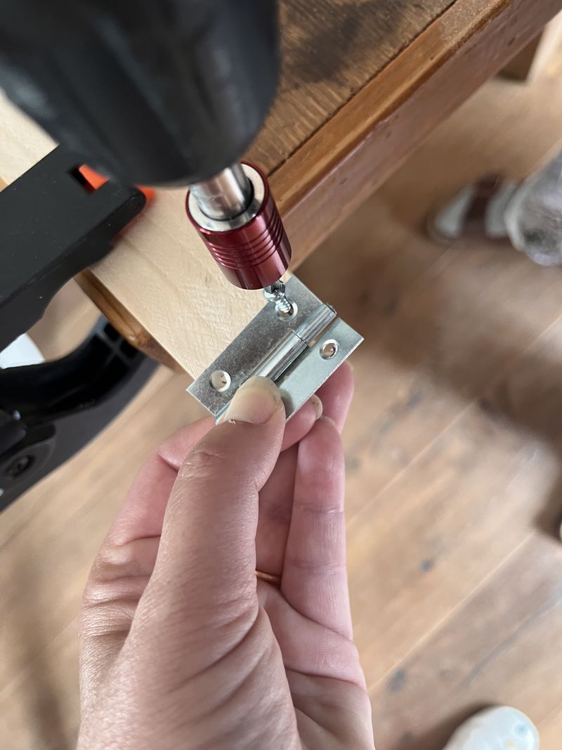 Murmur num ro 2 IMG 9378.jpeg