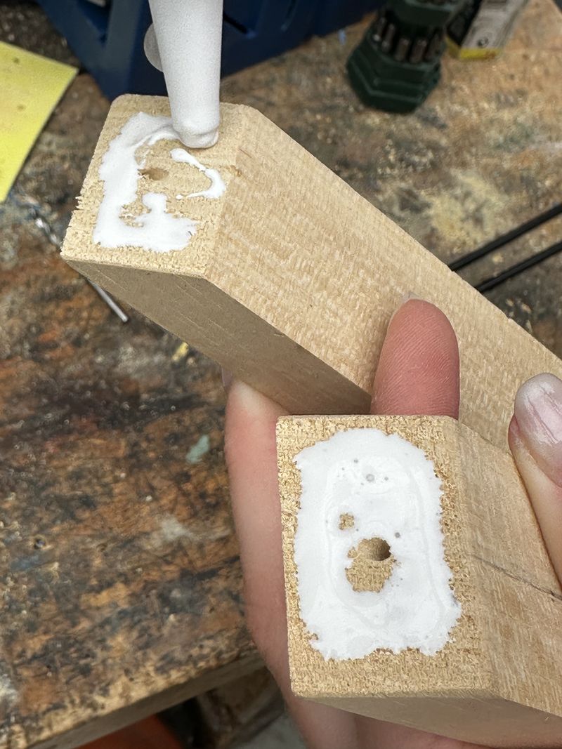 Focalisation IMG 3771.jpeg