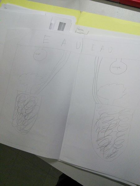 Fichier:Jardin de Léonard IMG 20171211 031533-768x1024.jpg