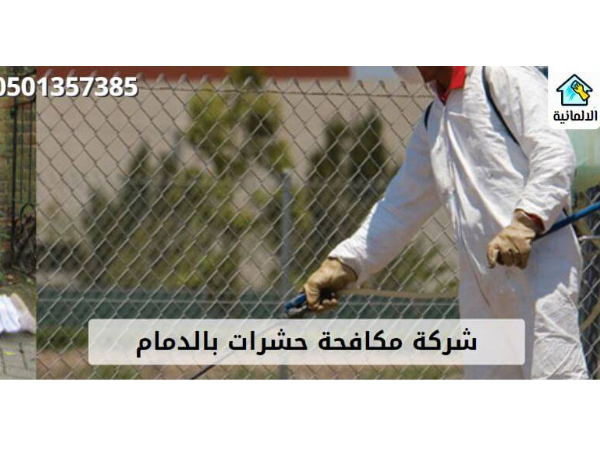 Advantages_of_hiring_an_insect_control_company_in_Khobar_hhk.jpg
