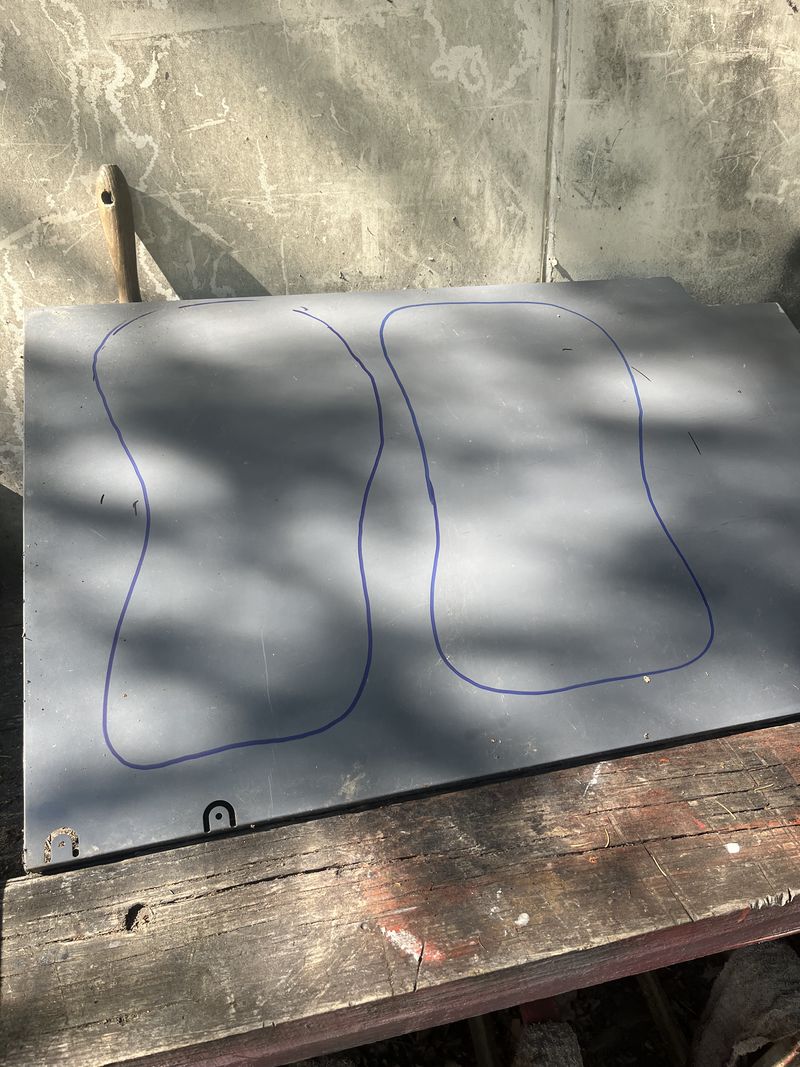 Stim caille IMG 7744.jpeg