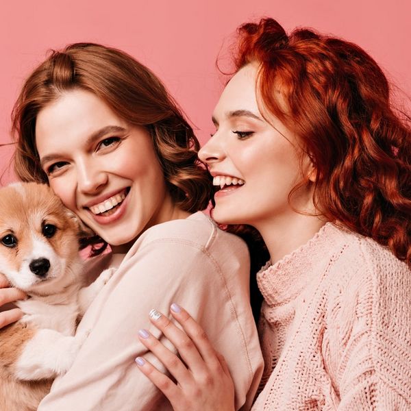 Fichier:Guide til hunde tandb rster- S dan plejer du din hunds t nder Valentins hund small c31a6d38-9659-472e-89ec-538d574e5b11 865x865 crop center.jpg