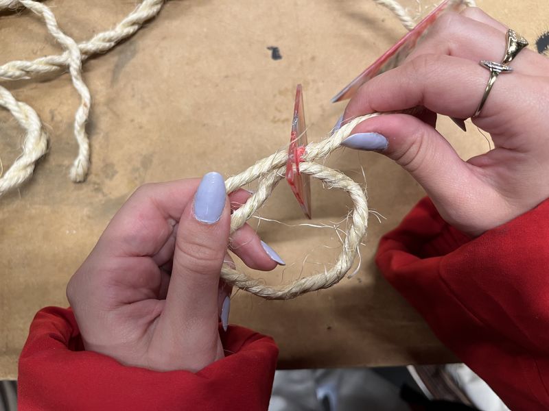 Jardini re grimpante. IMG 4133.jpeg