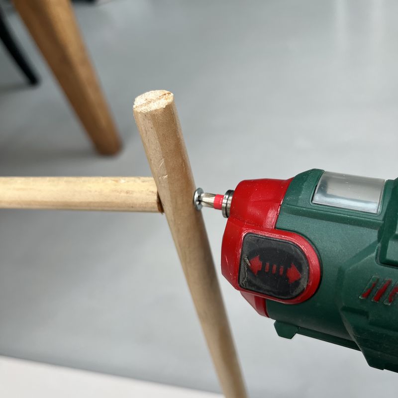 Un tuteur la menthe IMG 9167 2.jpeg