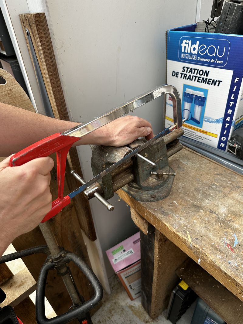 Focalisation IMG 3566.jpeg