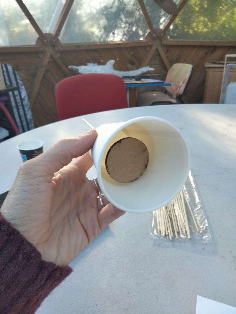 Oiseau automate ailes battantes 1000043195.jpg