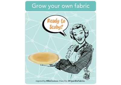 Grown_your_own_fabric_with_bacteria_image 1 wikifab.jpg