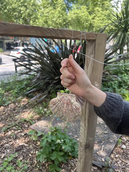 Fichier:Oreille urbaine IMG 5030-min.jpg