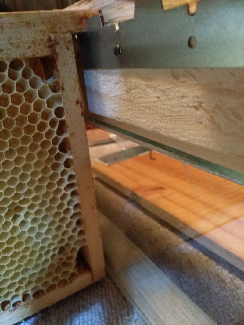 Hausse de ruche 4 vue fenetre ouverte.jpg