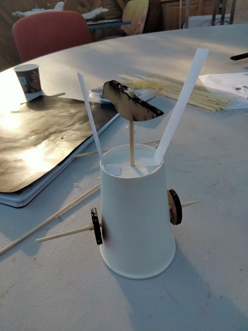 Oiseau automate ailes battantes 1000043203.jpg