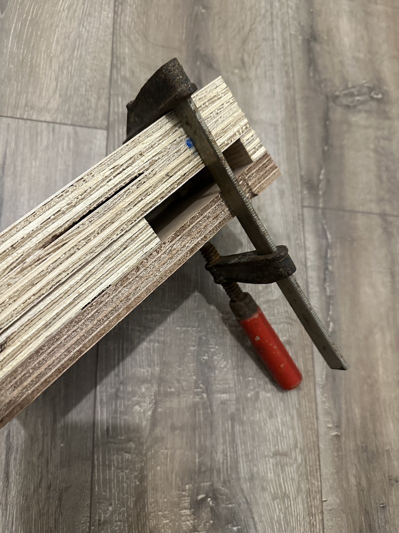 Skodenn IMG 5239.jpg