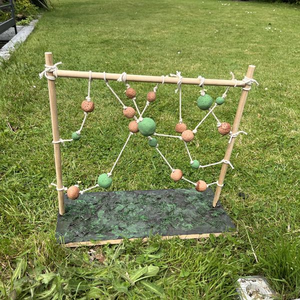 Fichier:Un tuteur la menthe IMG 9200 .jpeg