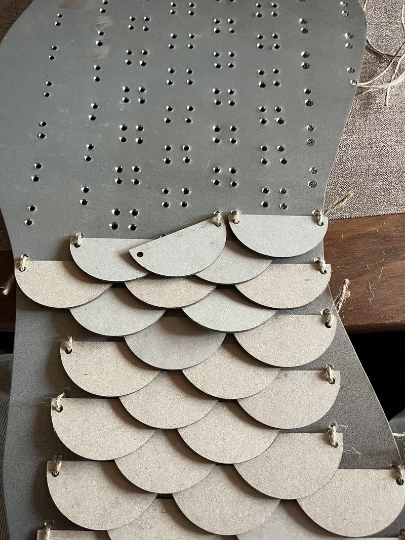 Stim caille IMG 7776.jpeg