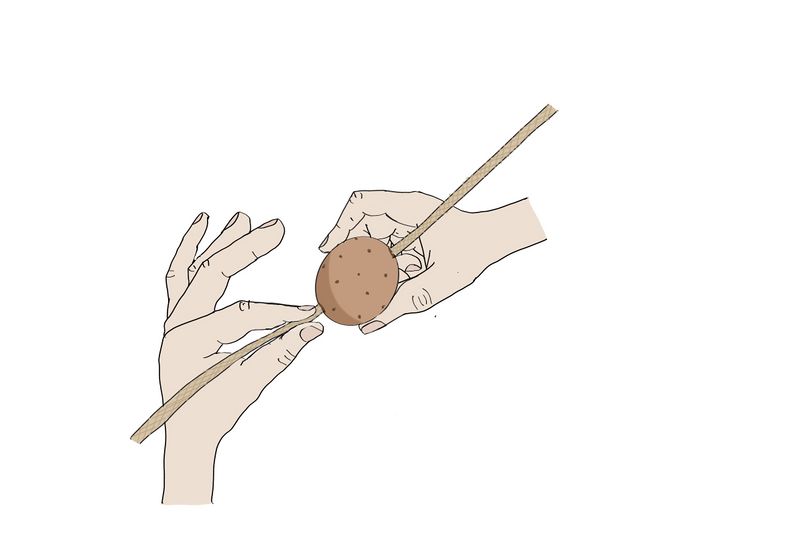 Un tuteur la menthe enfiler les perle.jpg