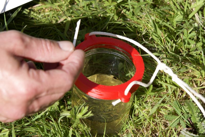 Balade en Eaux Troubles DSC08132.jpeg