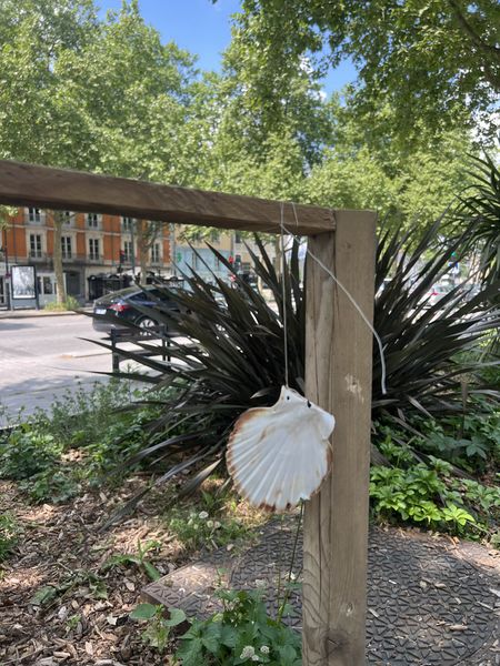 Fichier:Oreille urbaine IMG 5029-min.jpg