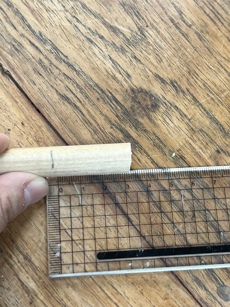 Un tuteur la menthe IMG 9159.jpeg