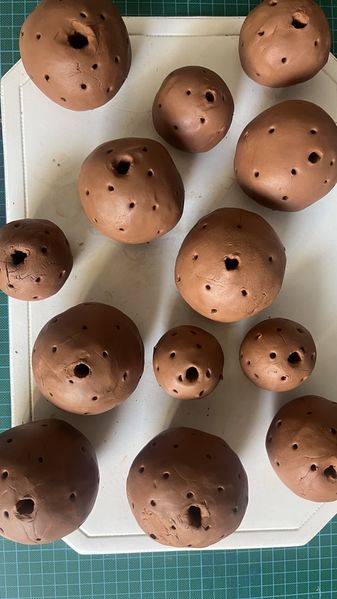 Fichier:Un tuteur la menthe FullSizeR.jpeg