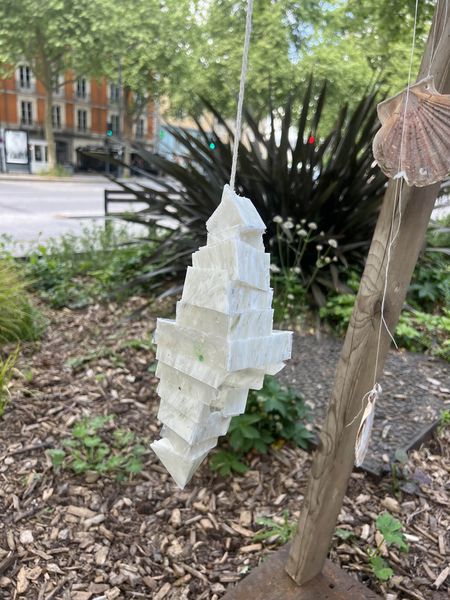 Fichier:Oreille urbaine IMG 5035-min.jpg