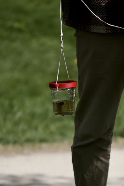 Fichier:Balade en Eaux Troubles DSC08129.jpeg