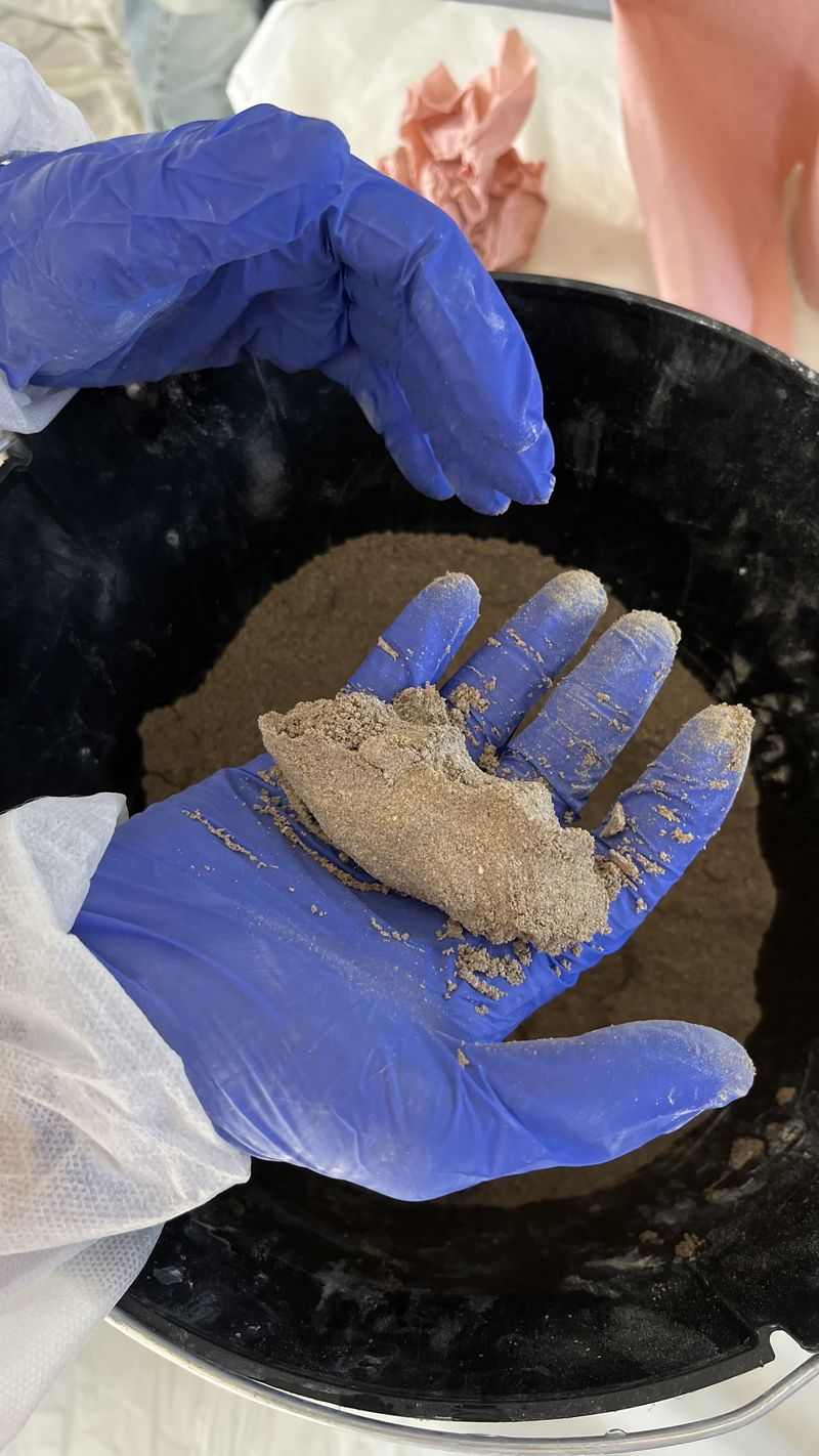 Brique de terre crue 2 IMG 2967.jpeg