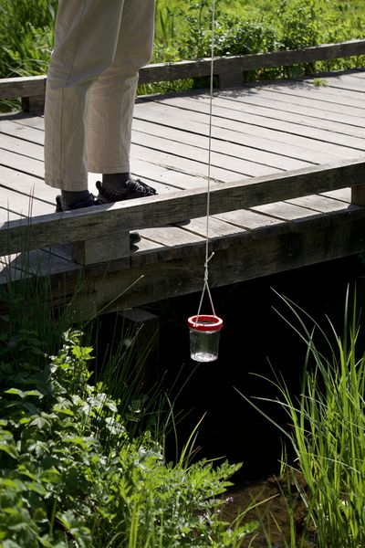 Fichier:Balade en Eaux Troubles DSC08098.jpeg