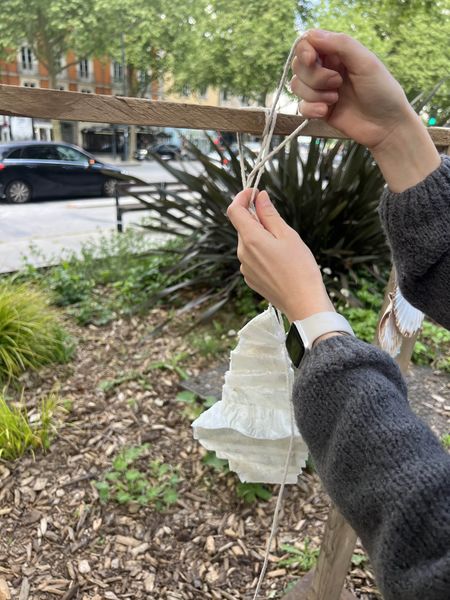 Fichier:Oreille urbaine IMG 5033-min.jpg