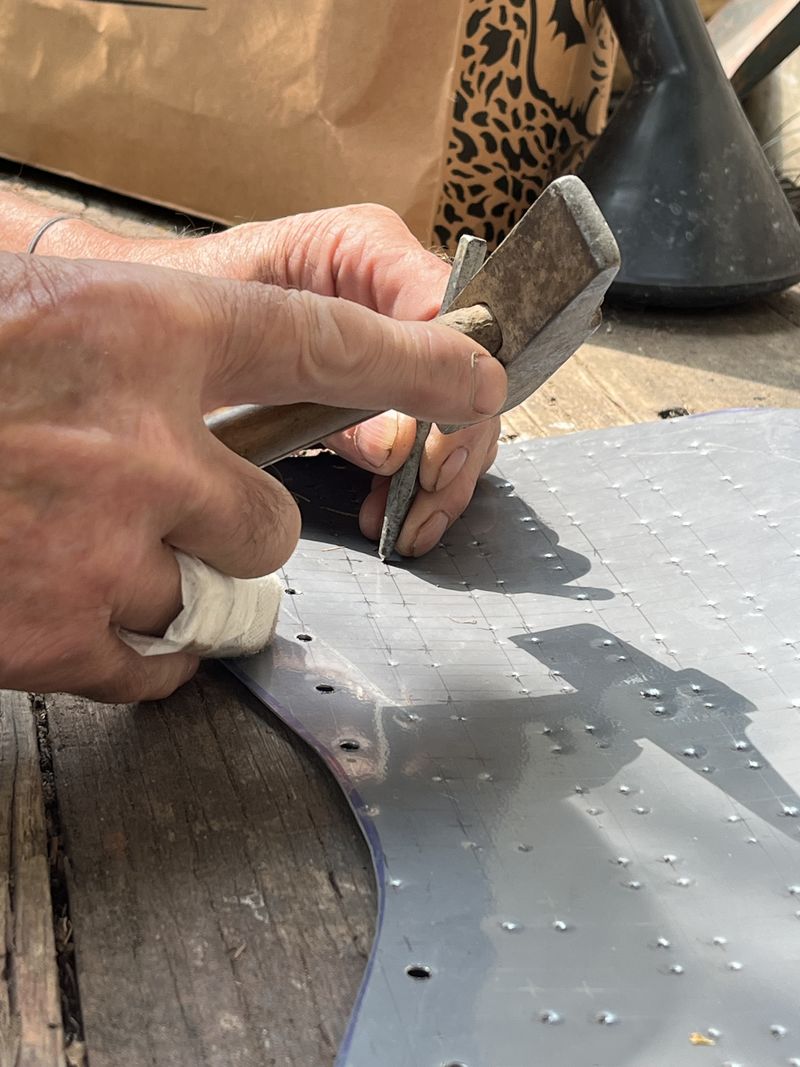 Stim caille IMG 7765.jpeg