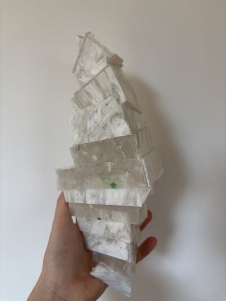 Fichier:Oreille urbaine IMG 6528-min.jpg